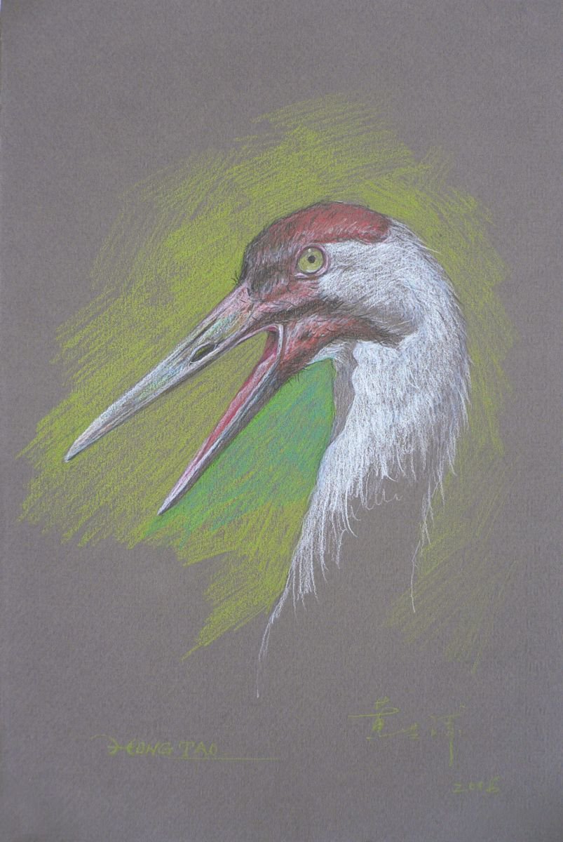 Drawing colour pencil CROWNED CRANE #16-4-18-02 by Hongtao Huang
