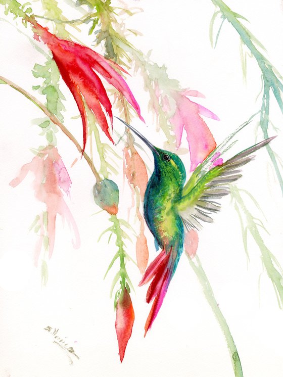 Hummingbird