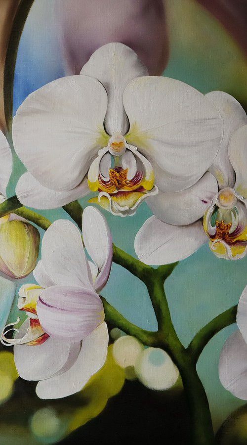 White Orchids Floral by Natalia Shaykina