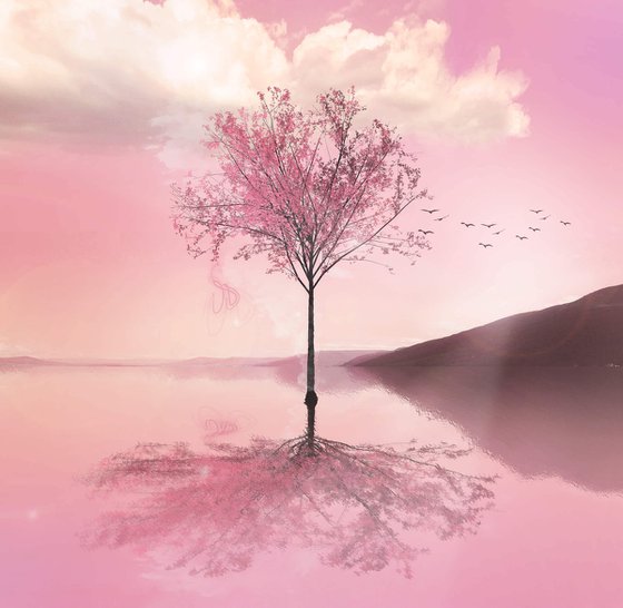 Autumn Tree