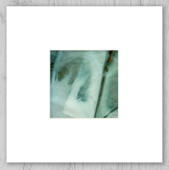 Nature's Rhythm Collection 7