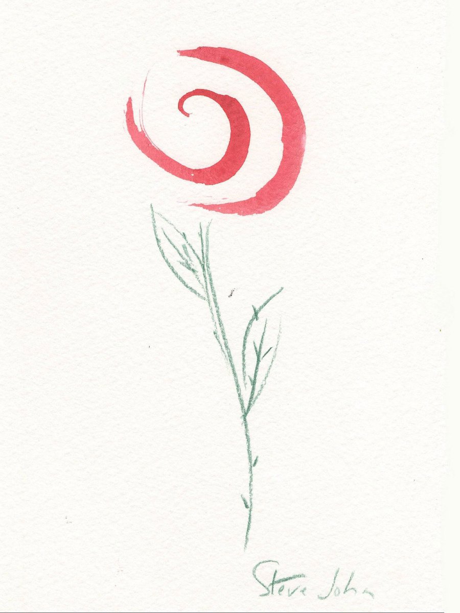 Swirly Rose by Steve John