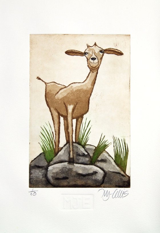 a set of Goat prints