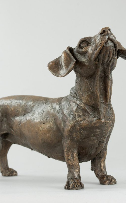 'Maddie' Dachshund Bronze Res by Tanya Russell