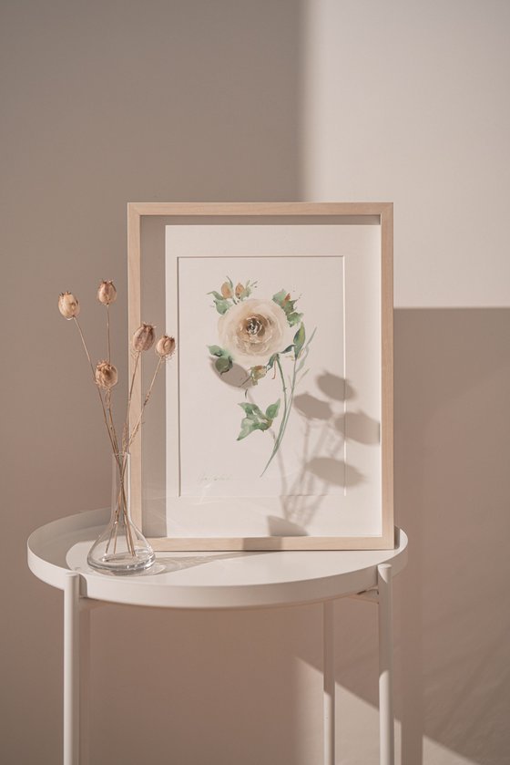 White vintage watercolor rose