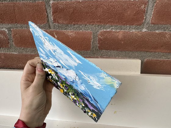 Daisies in the mountains