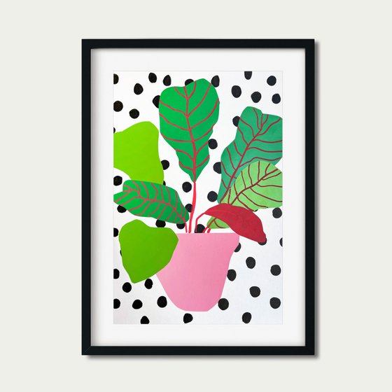 Fiddle-Leaf Fig Plant 07241