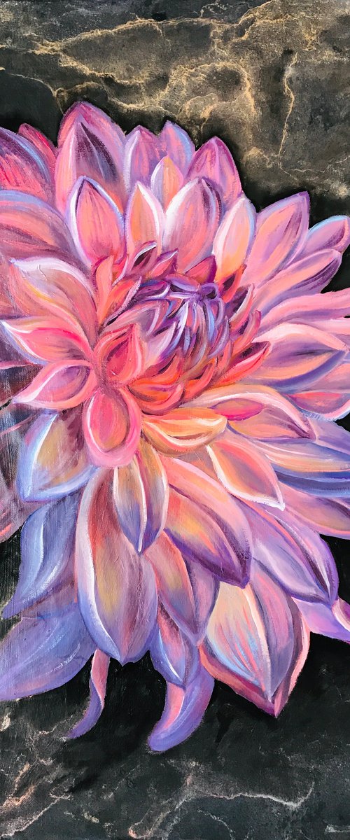 Shining Dahlia by Olga Volna