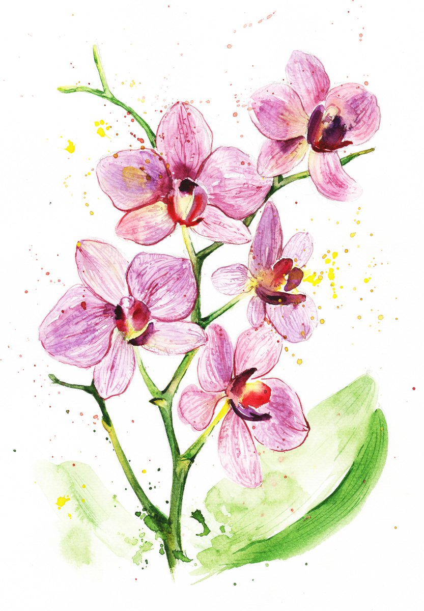 Orchid Flower Watercolor Painting by Liubov Kvashnina