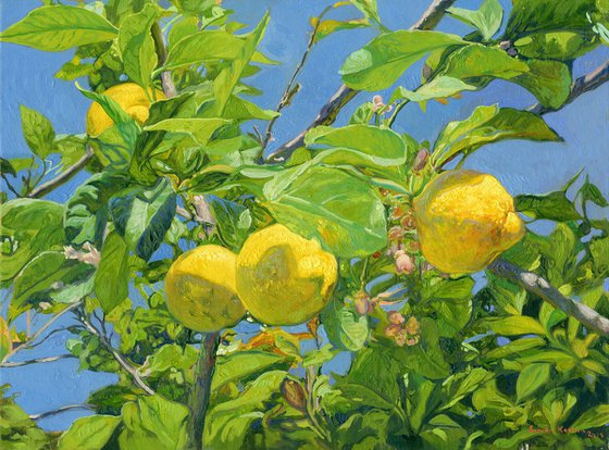 Lemons