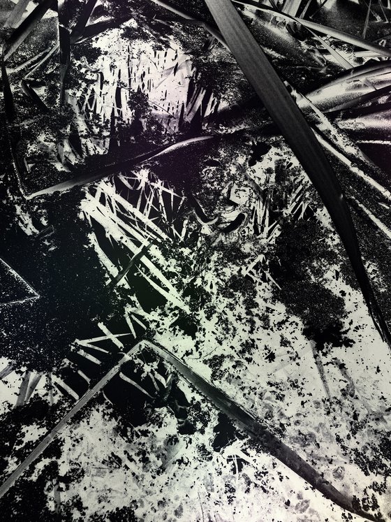 Timeless Shadows 5.