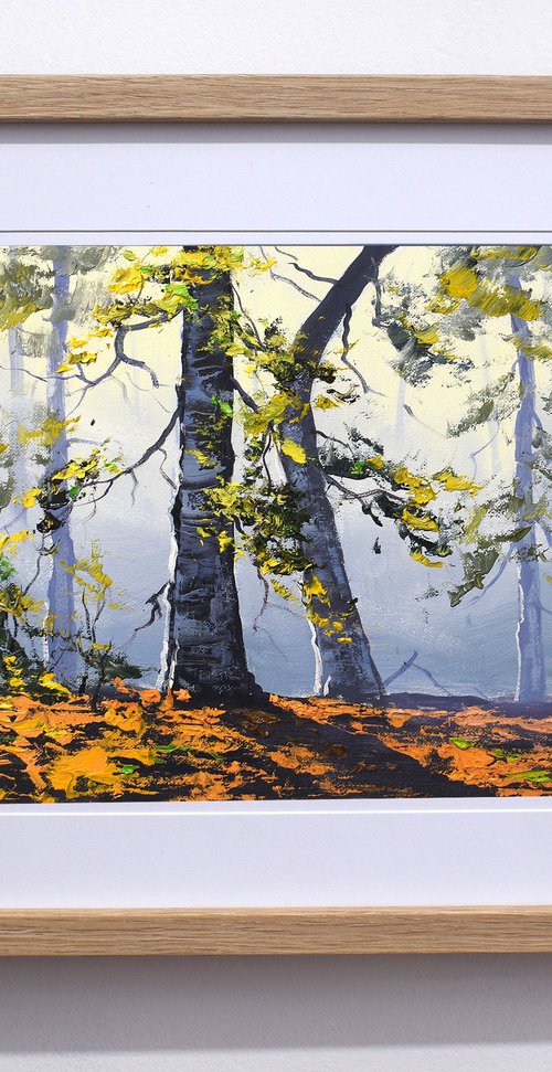 Autumn Forest trees by Graham Gercken