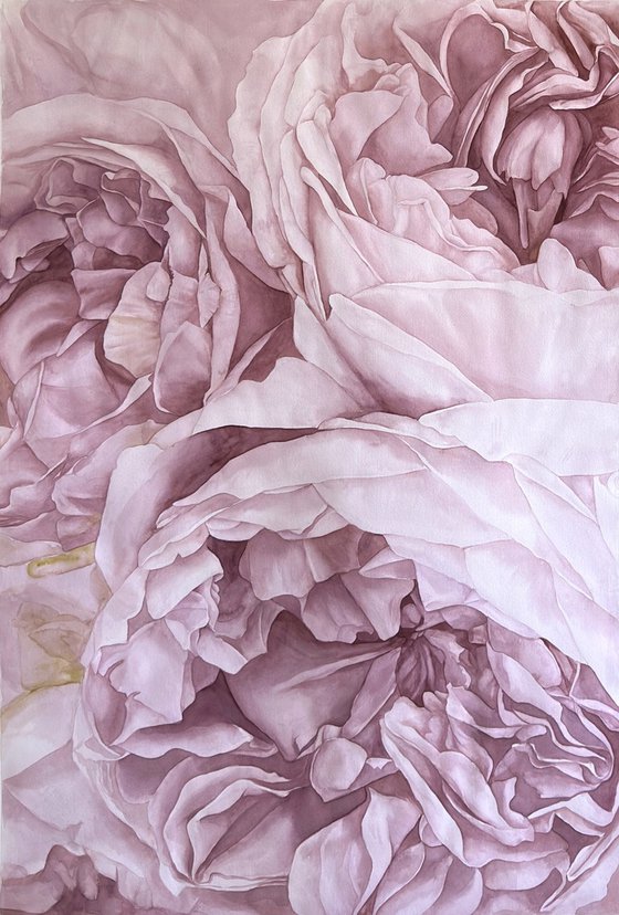 English Rose Universe