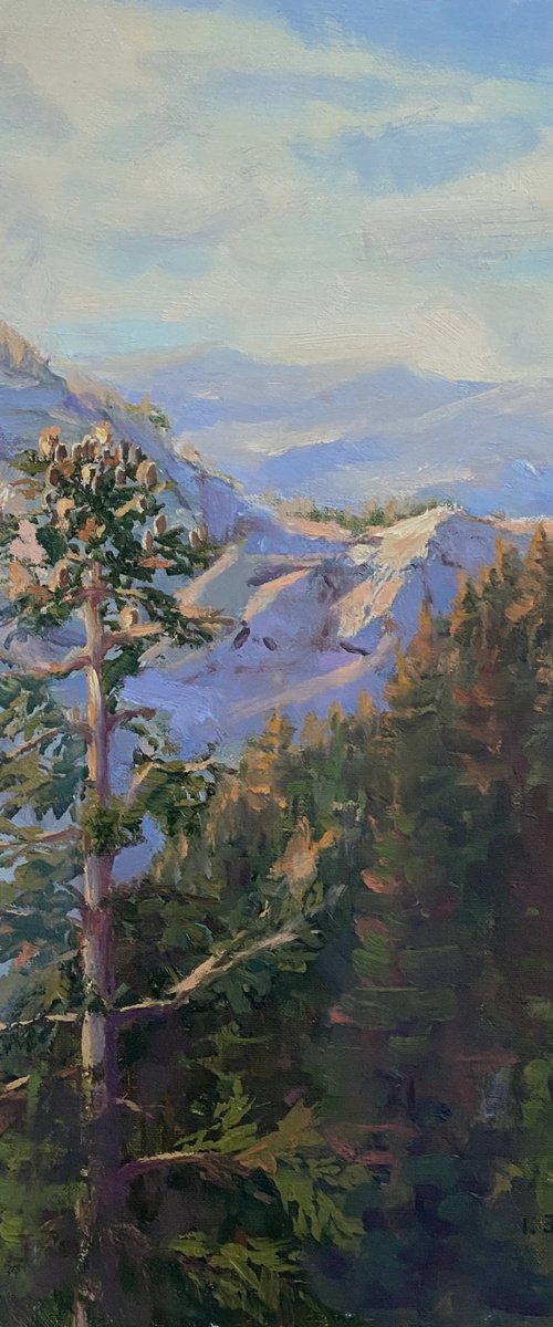 The Pines of Yosemite by Tatyana Fogarty