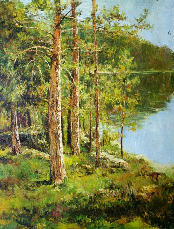 Pine Trees at Lake