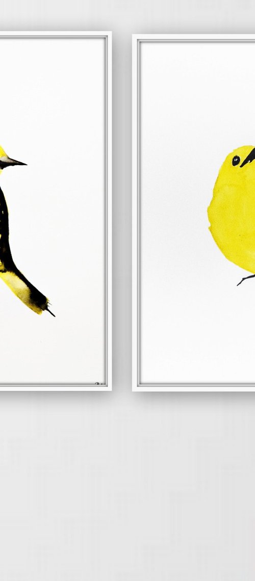 Birds by Nadia Moniatis