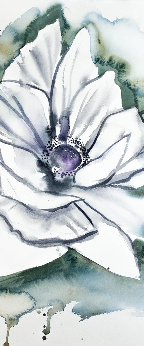 Anemone by Elizabeth Becker