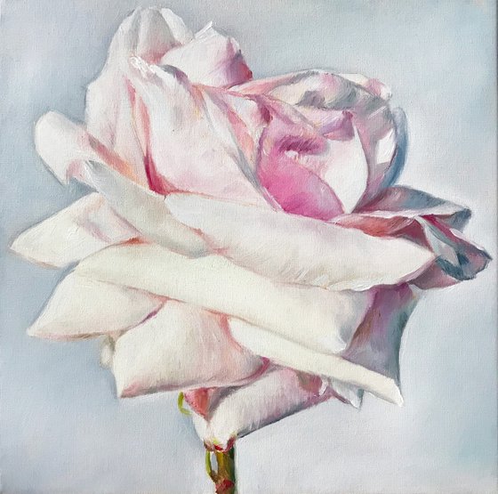 Oil painting "Rose" 20*20 cm