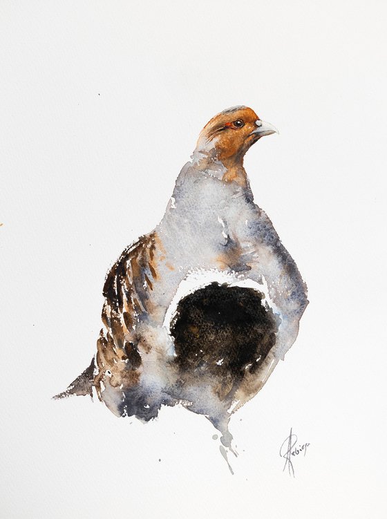 Partridge
