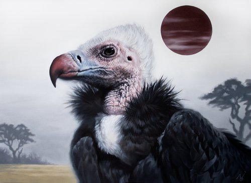 Extravagant Coat / White headed vulture by Yuko Montgomery