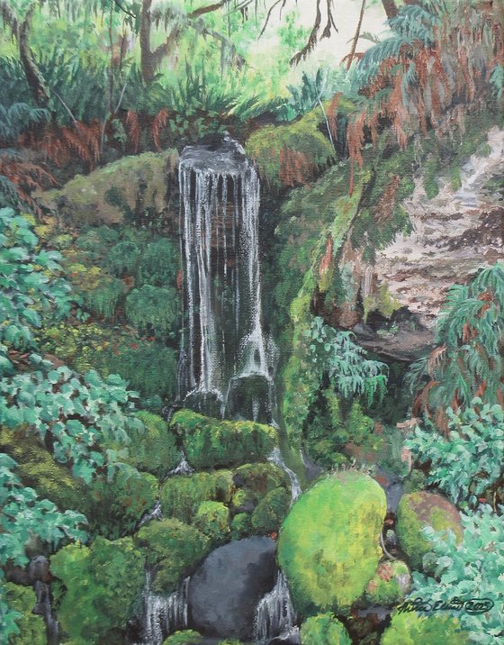 Hidden Waterfall