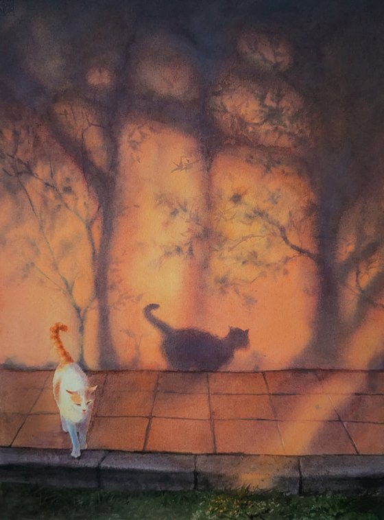 Shadow Cat at Sunset