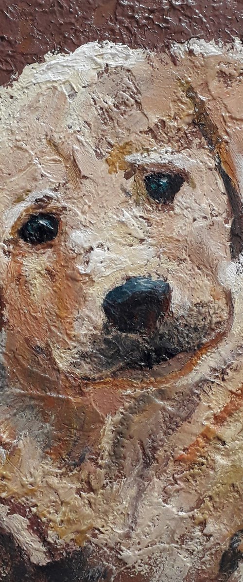 Dog puppy. by Alexander Zhilyaev