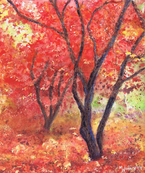 Autumn Trees (Forever Autumn)