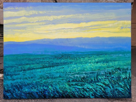 Green Field at Sunrise  60x80cm