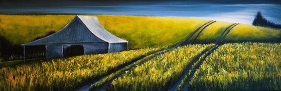 The Barn with yellows - Fields and Colors Series