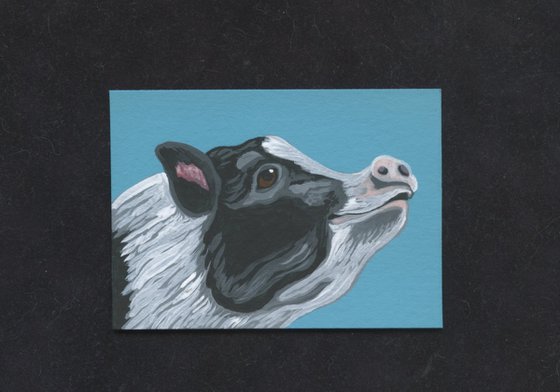 ACEO ATC Original Miniature Painting Black White Spotted Pig Farmyard Art-Carla Smale