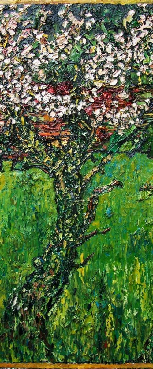 Apple tree in blossom by Richard Meyer