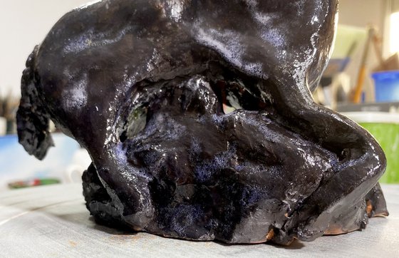 Equus