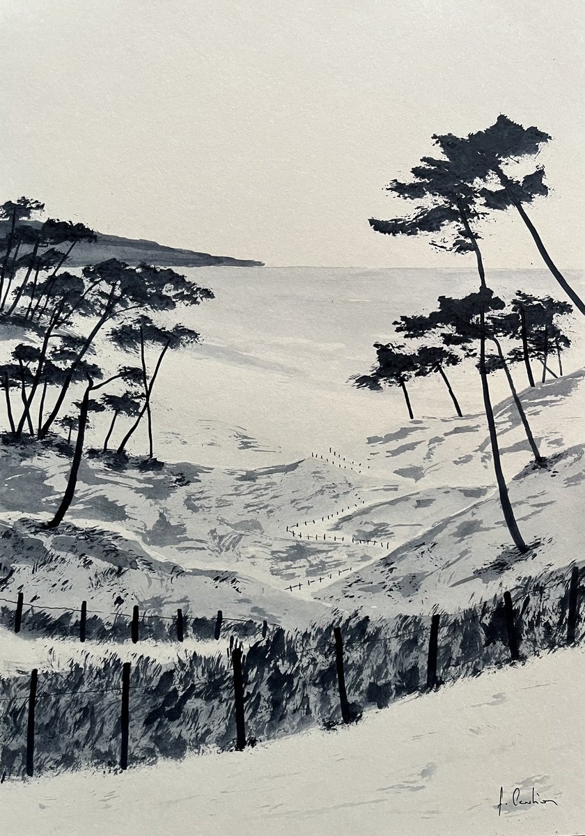 Ink Drawing , Coastal Path By Cadiou Frederic, 9 X 13, Artwork For Sale On Artfinder