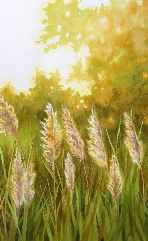Sun Bathed Meadow by Olga Beliaeva Watercolour