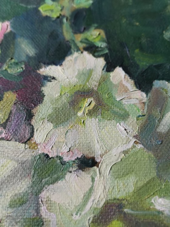 Aerial mallow