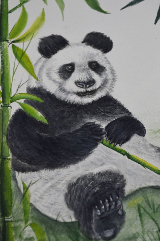 Bamboo with Panda