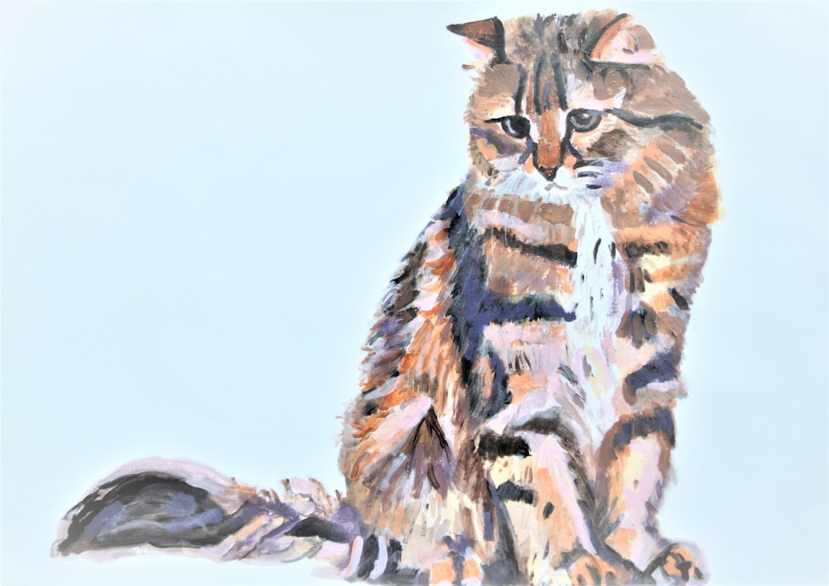 Kitten / 55 � 40.5 cm by Alexandra Djokic