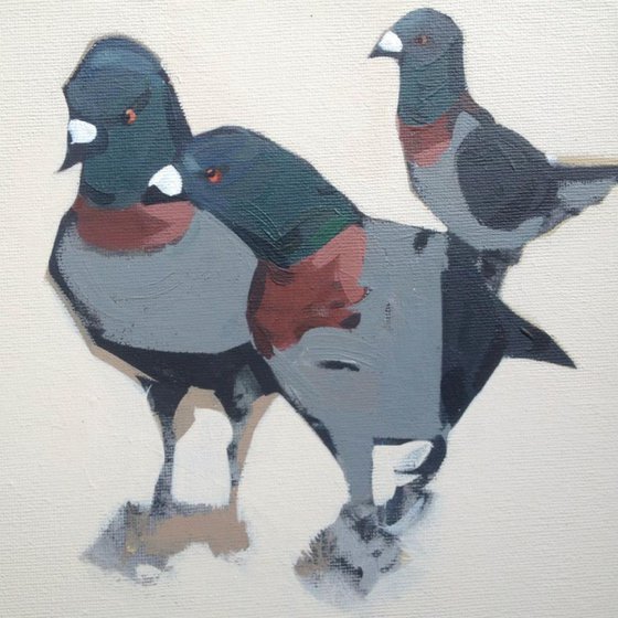 3 Pigeons