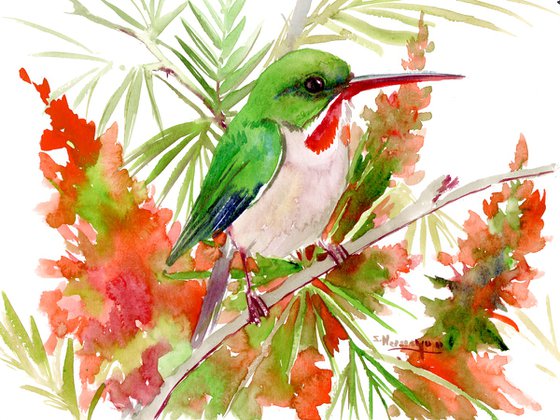 Puerto Rican Tody