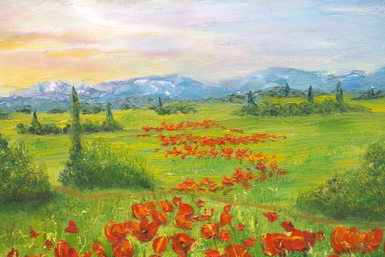 Poppy field in Tuscany