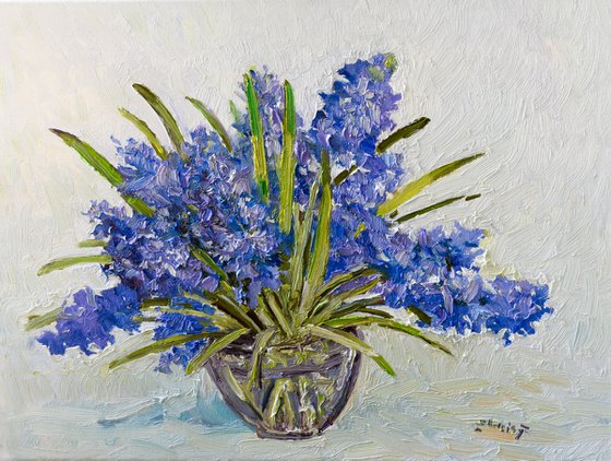 Hyacinth Flowers