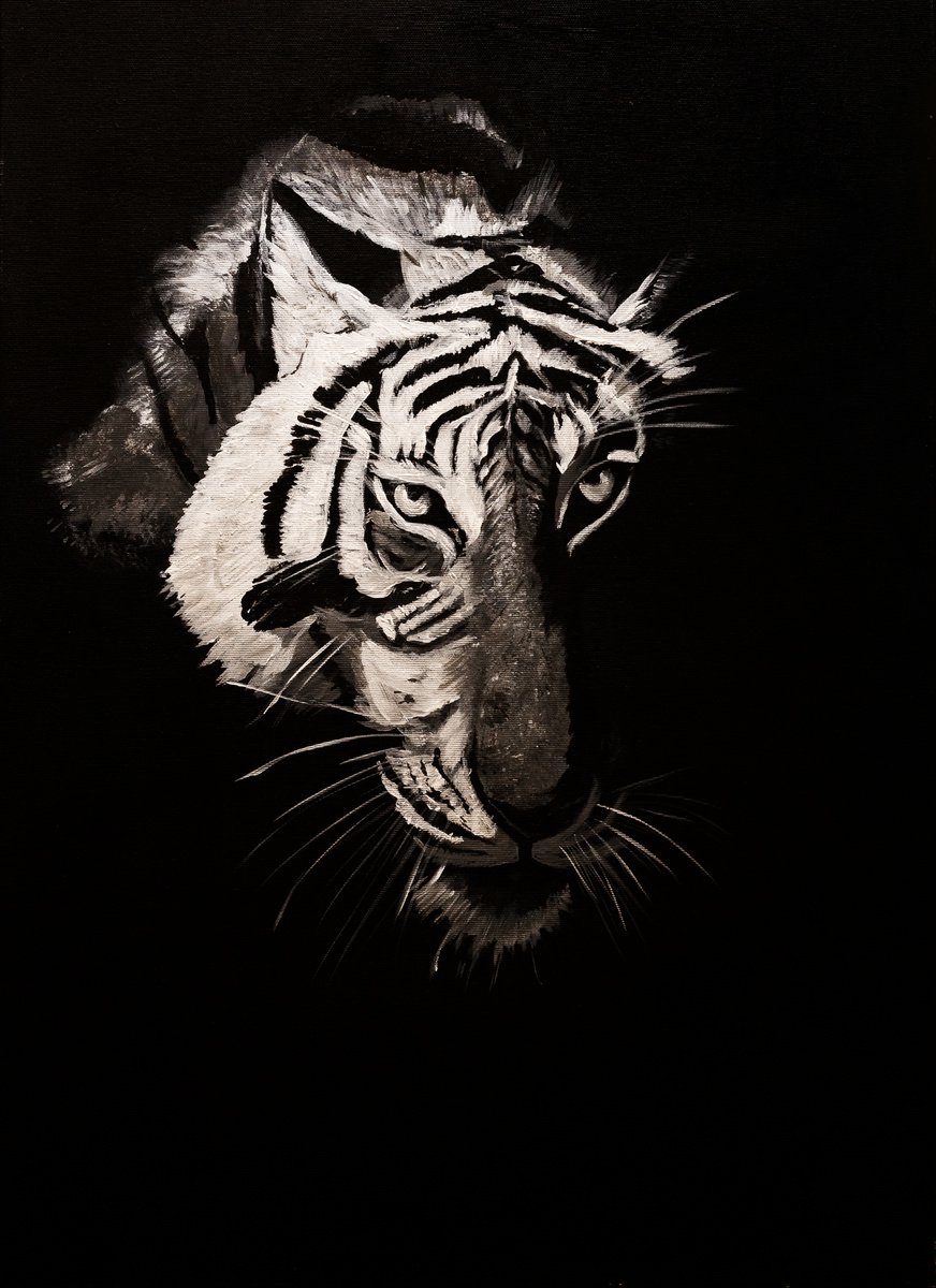 Tiger in the night by Margarita Telianidis