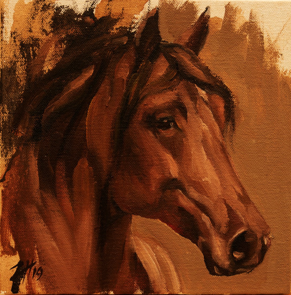 Equine Head Arab Chestnut (study 27) by Zil Hoque