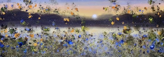 Midnight Enchantment