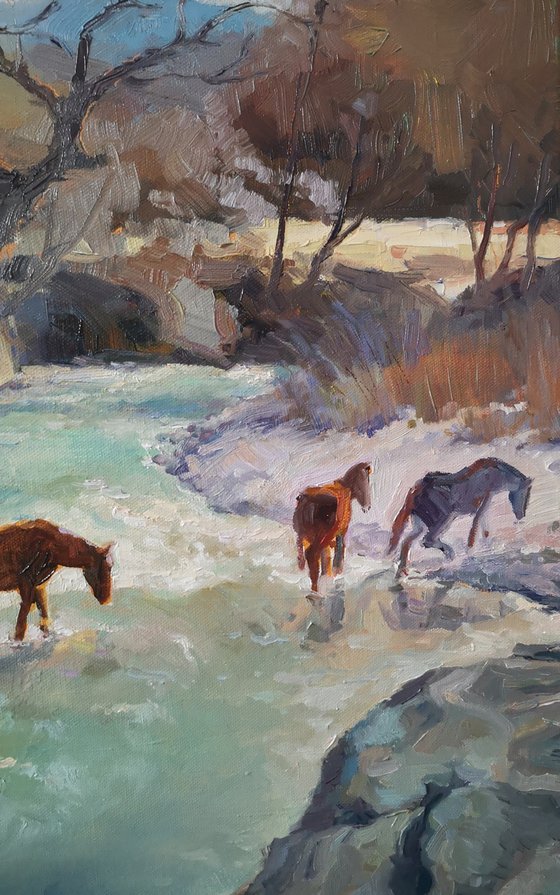 Horses at the Water's Edge