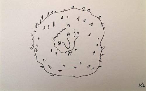 Hedgehog 4 by Kitty  Cooper