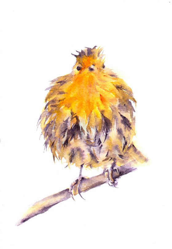 Soggy Robin, Original watercolour painting