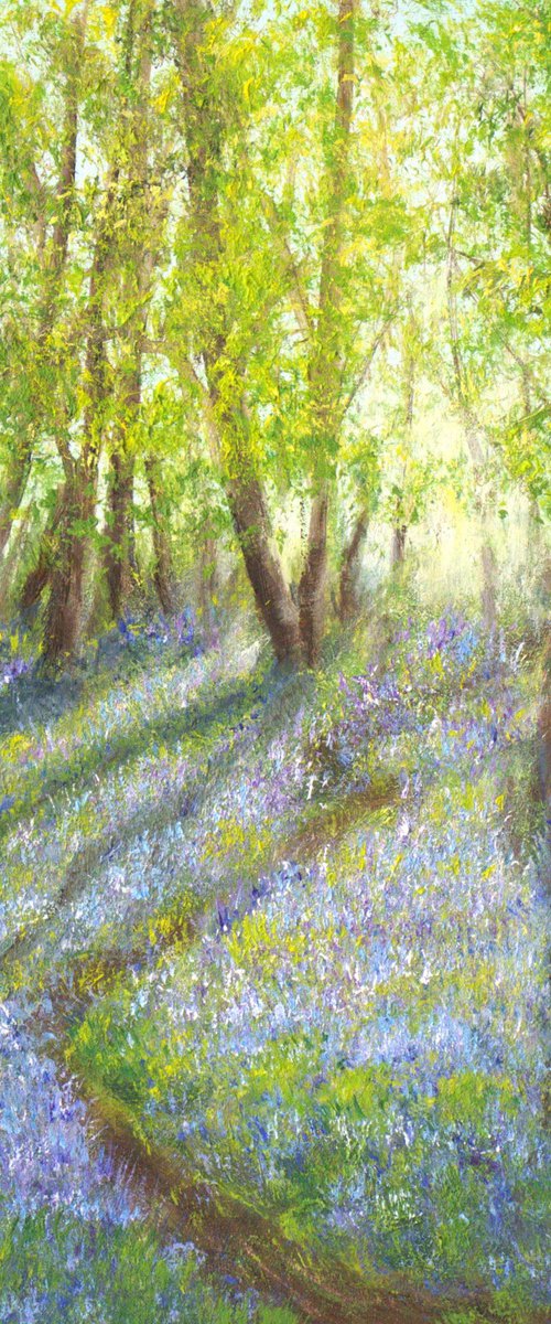 Bluebell forest by Ludmilla Ukrow