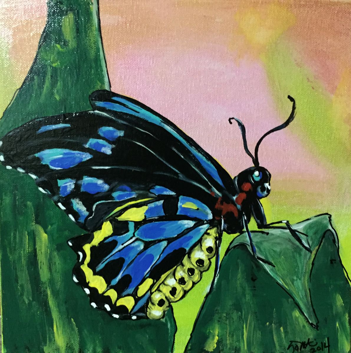 Goliath Birdwing Butterfly by Carolyn Shoemaker (Soma)